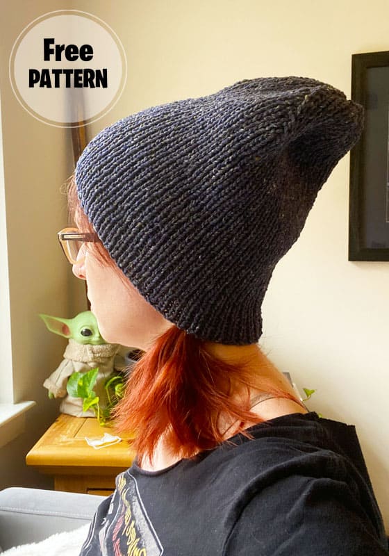 Beginner Erie Knitting Hat Free Pattern